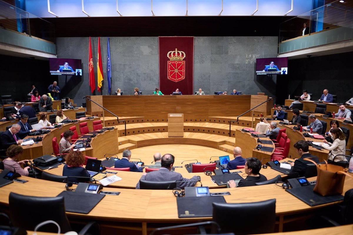 El Parlamento de Navarra ha aprobado la condena a cualquier manifestación política que «favorezca e incite al odio».