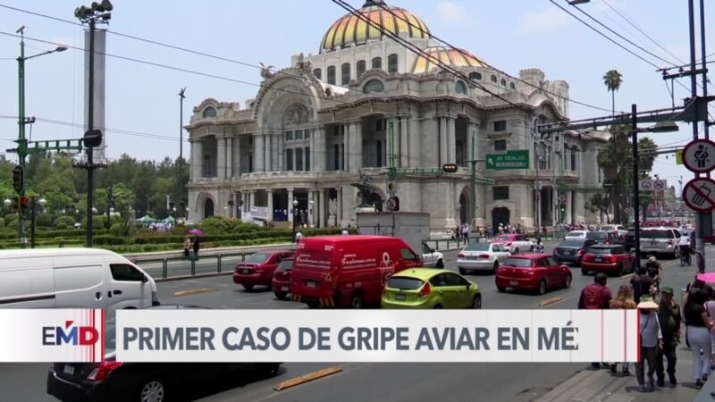 Se detecta el primer caso de gripe aviar en México