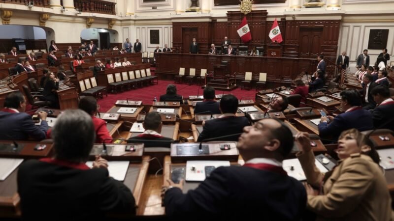 EE.UU. y la UE expresan preocupación por el plan del Congreso peruano para aumentar el control sobre las ONG