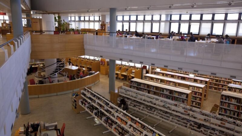 Campamentos infantiles gratuitos en bibliotecas públicas de Madrid con arte, ciencia y teatro.