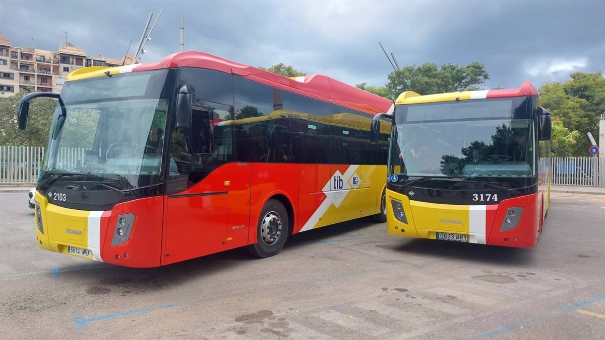 El gobierno incorpora diez nuevos autobuses de mayor capacidad que permitirán consolidar varias líneas del TIB