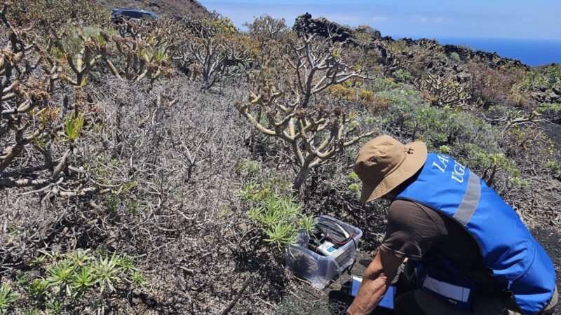 Estudio en Fuencaliente para localizar magma en el sótano.