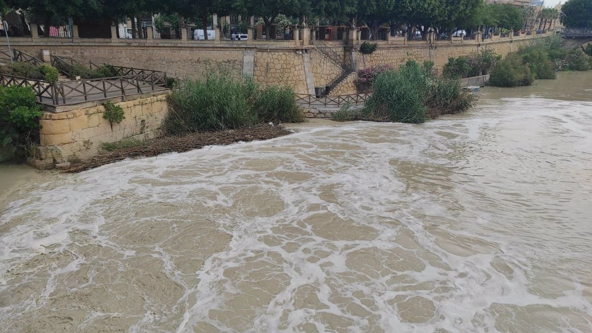 Huermur denuncia la espuma del río Segura desde Murcia al Seprona