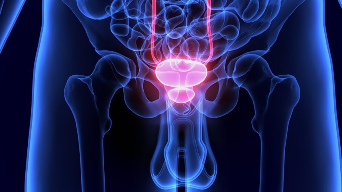 La SEOM destaca una mejor supervivencia general en el cáncer de próstata avanzado gracias a los avances terapéuticos