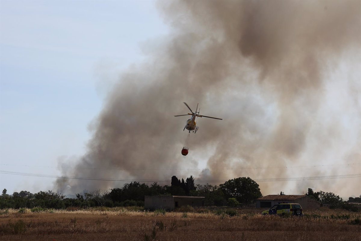 Los incendios forestales han quemado 68,64 hectáreas en Baleares hasta junio.