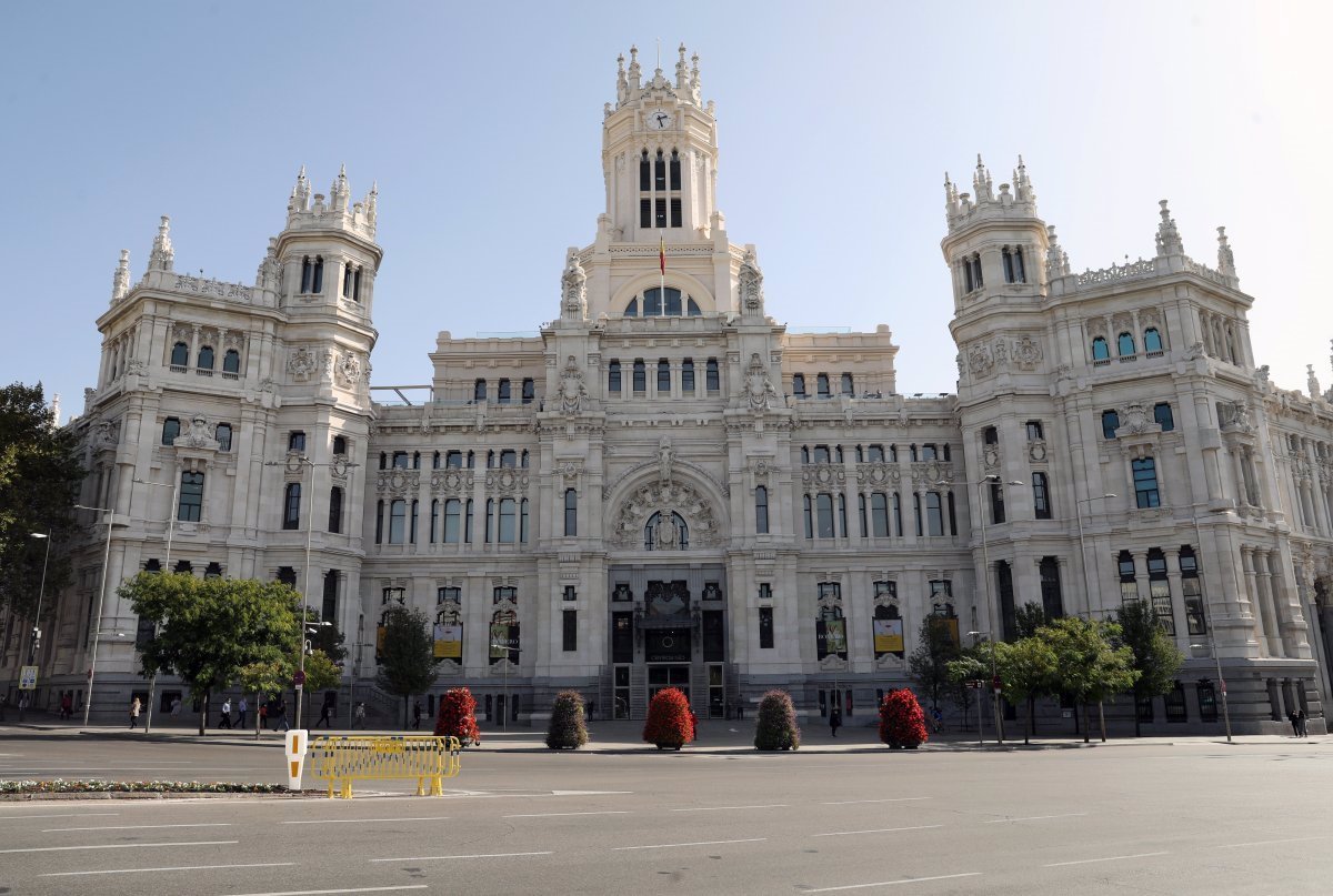 Propuestas de los presupuestos participativos de Madrid: Más árboles o adaptación climática de la col