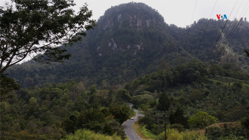 ¿Por qué Nicaragua podría perder sus bosques en 20 años