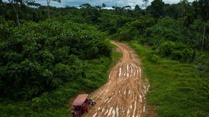 Denuncian aumento del narcotráfico y amenazas en la Amazonía peruana