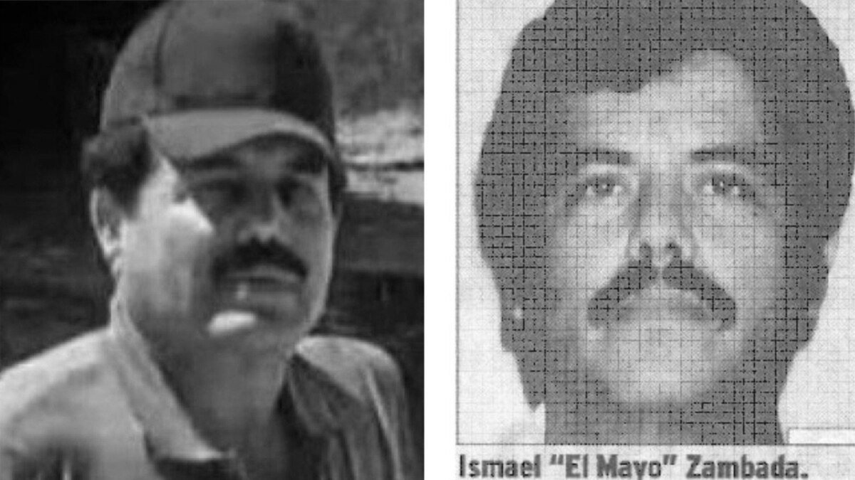 ¿Quién es «El Mayo» Zambada capturado por EE.UU.? 

Ismael Zambada García, conocido como «El Mayo», es un poderoso líder del cártel de Sinaloa en México. Su captura por parte de las autoridades estadounidenses ha generado gran controversia en el mundo del narcotráfico.

«El Mayo» Zambada ha sido uno de los principales líderes del cártel de Sinaloa desde la captura de Joaquín «El Chapo» Guzmán en 2016. Su detención representa un duro golpe para la organización criminal y podría tener importantes repercusiones en el tráfico de drogas en la región.

La captura de Ismael Zambada García, alias «El Mayo», es un logro significativo en la lucha contra el narcotráfico en México y Estados Unidos. Su arresto es el resultado de una operación conjunta entre las autoridades de ambos países y demuestra el compromiso de ambas naciones en la lucha contra el crimen organizado.