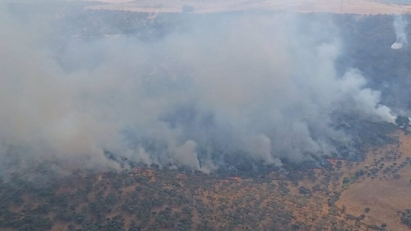 Se estabiliza incendio forestal en Burguillos del Cerro, desactivado nivel 1 de peligro
