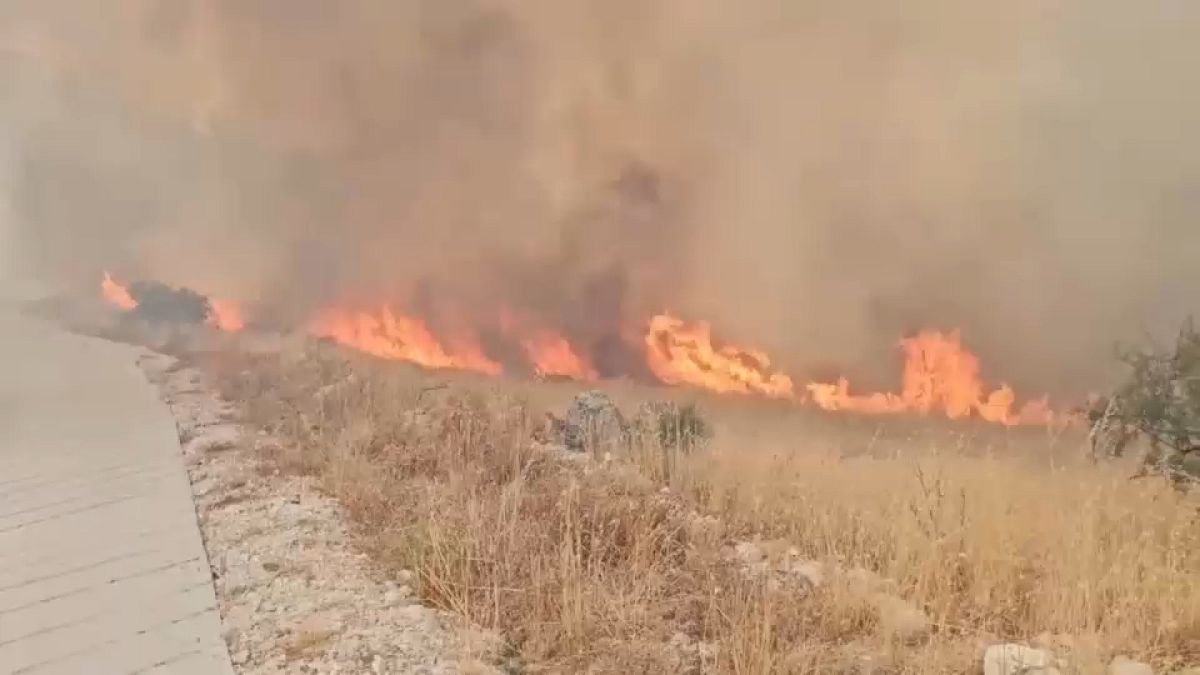 Albania solicita apoyo de la UE para combatir incendios forestales desde el aire.