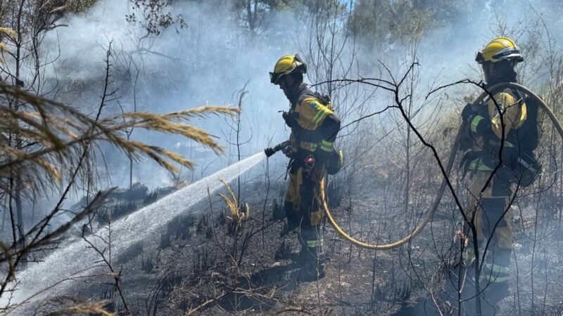 Alerta de incendios en Gran Canaria y provincia occidental de Canarias