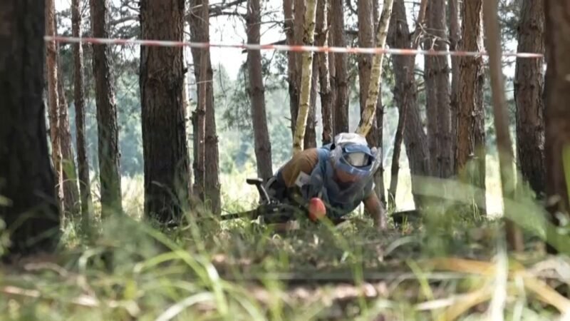 Desminadores retiraron 400 explosivos en Ucrania.