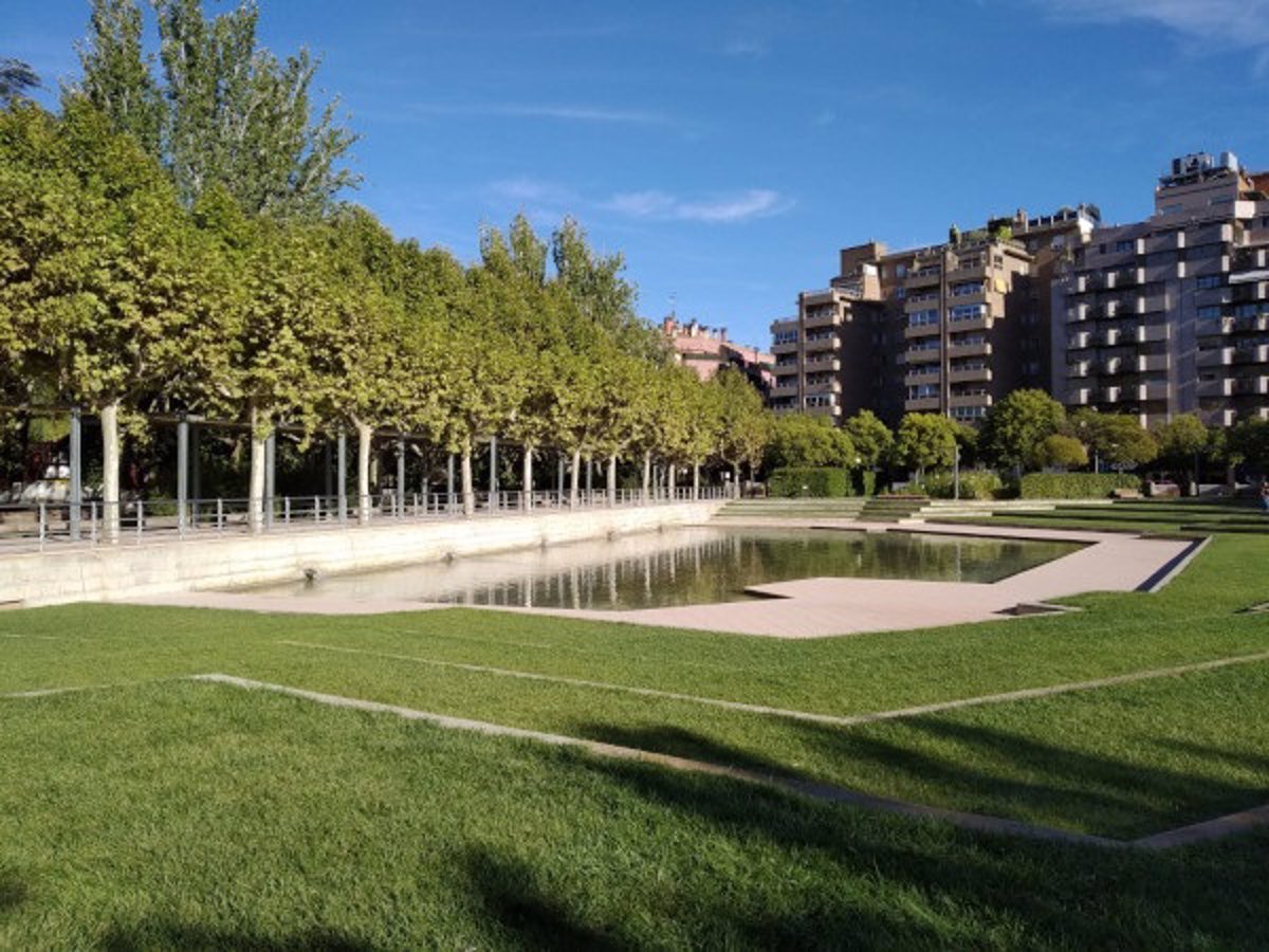 Huesca licita contrato para Plan de Ordenación del Pinar del Parque Miguel Servet.