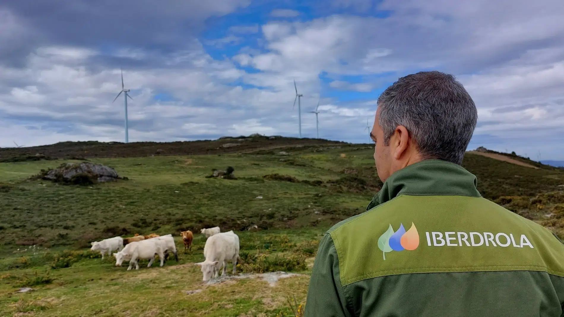 La sinergia entre energías limpias y biodiversidad con Iberdrola