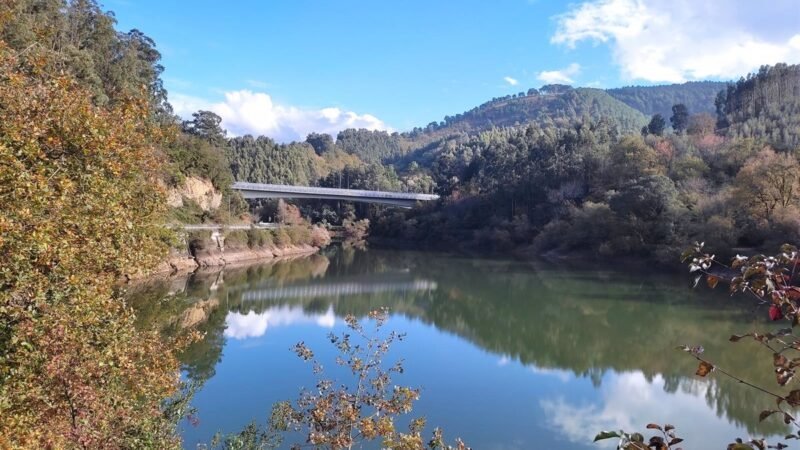 Los depósitos vascos por encima de la media en la última década