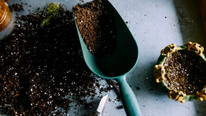 Los posos de café no son tus amigos en el huerto, te explicamos por qué