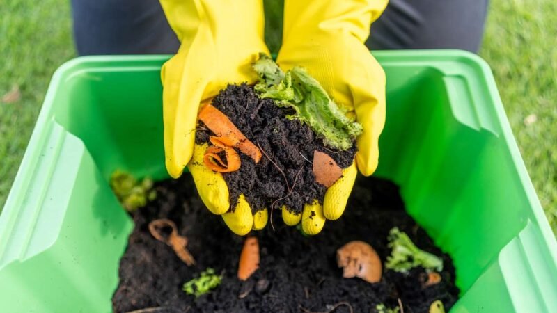 Los 3 aceleradores de compost menos conocidos