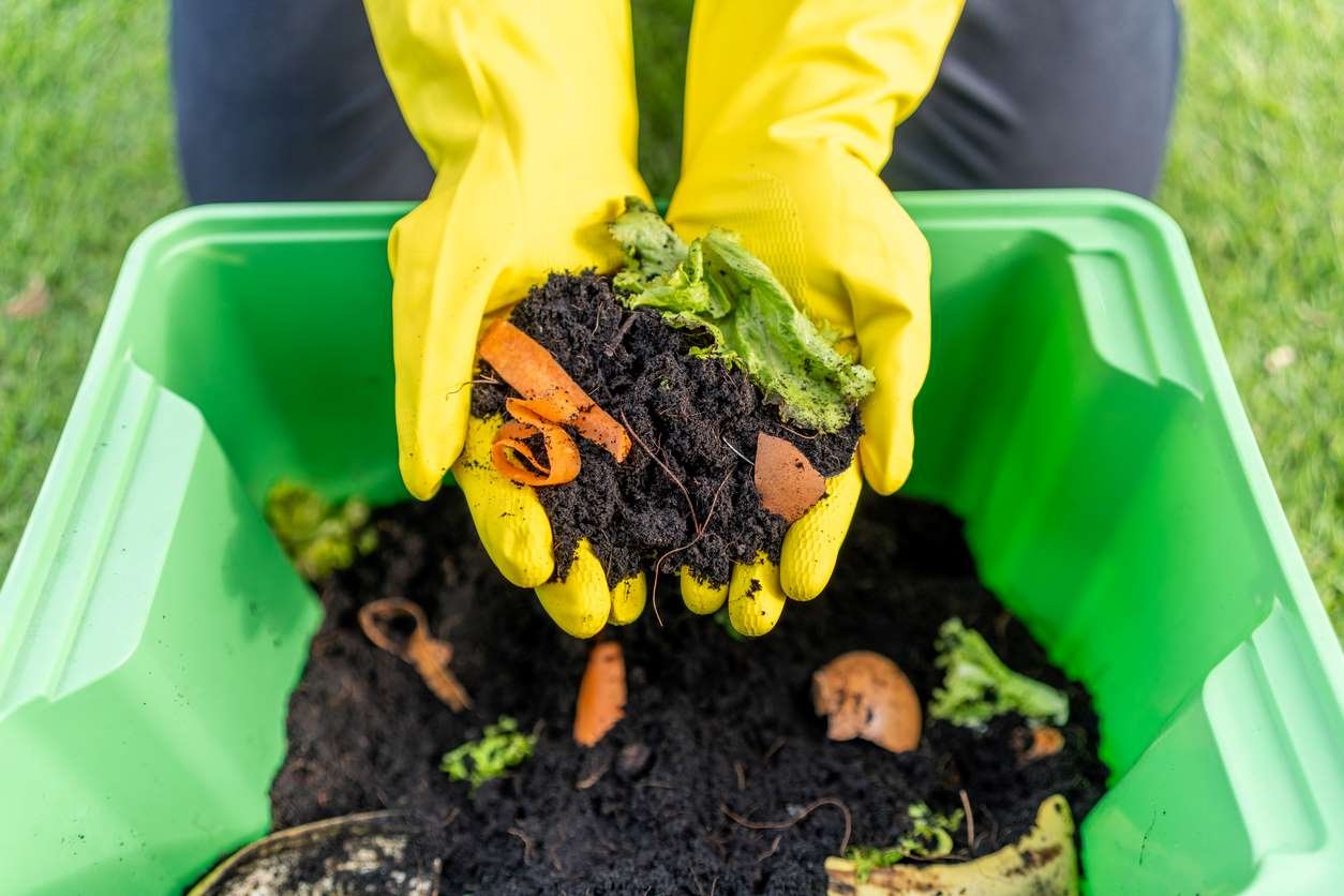 Los 3 aceleradores de compost menos conocidos