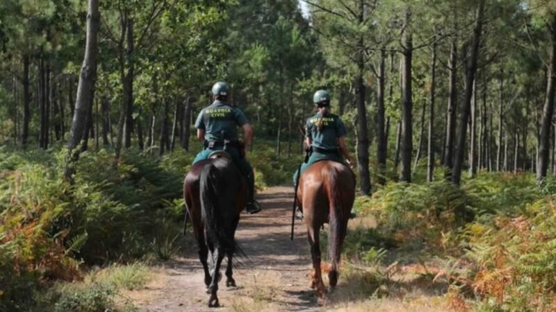 Arma blanca hallada cerca de la casa del presunto asesino de Mateo