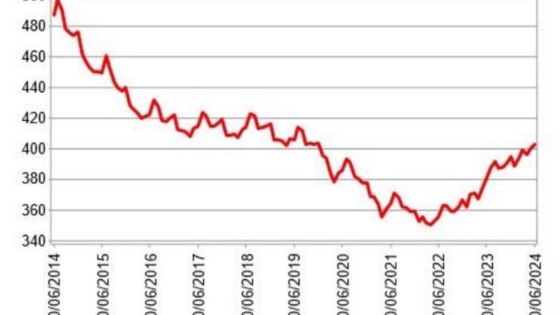 Crecimiento imparable: +6,2% en junio de 2024