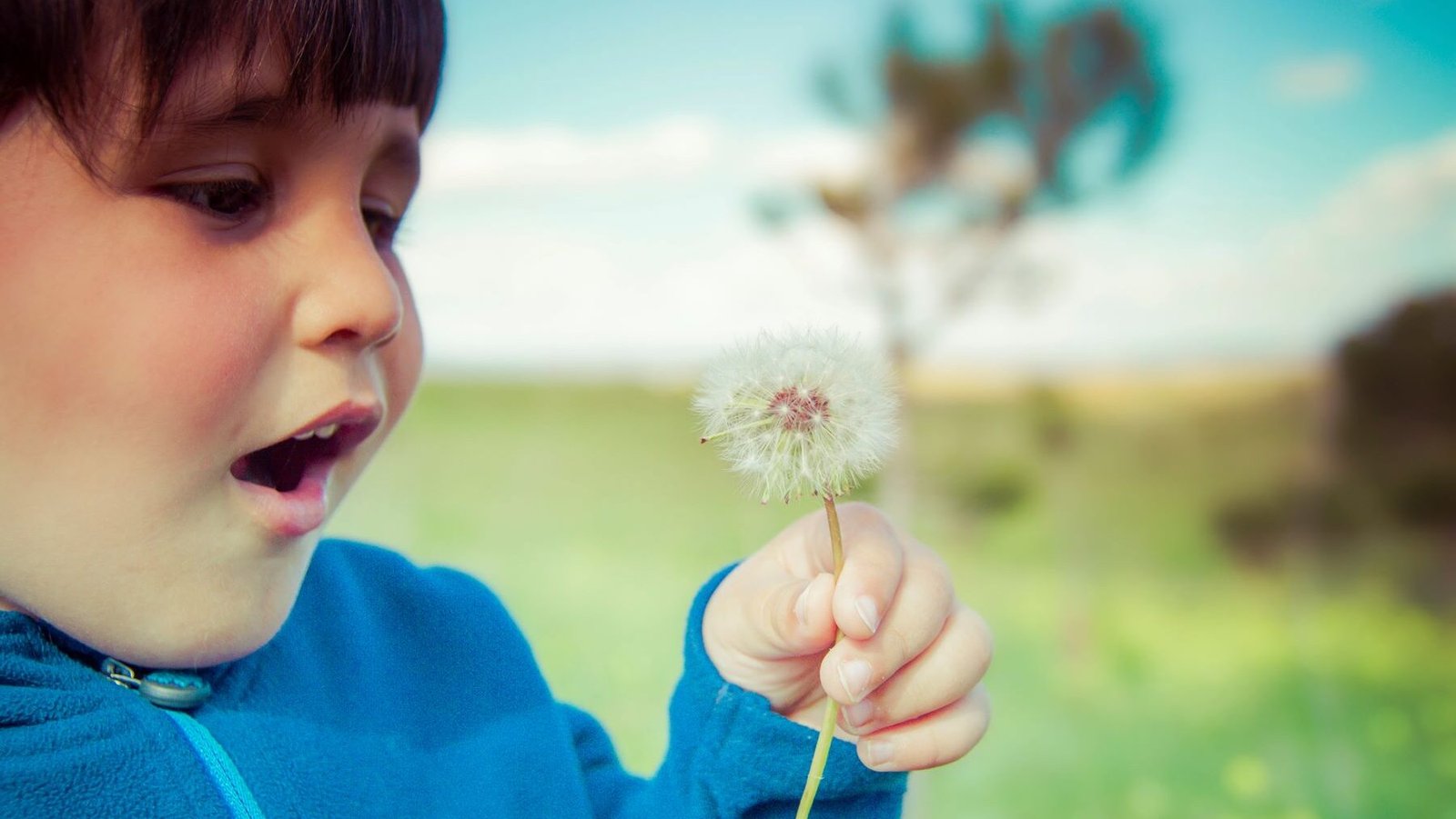 La importancia de la naturaleza y sus beneficios para los niños