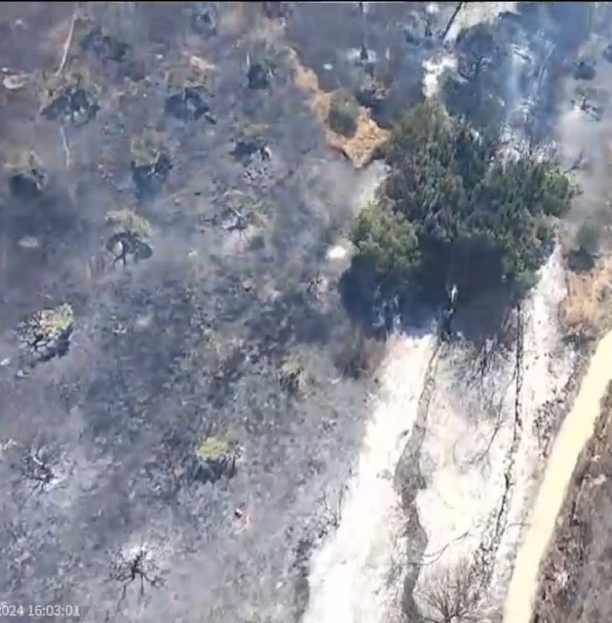 Plan Especial de Protección Civil activado por incendio en Zafra (Badajoz)