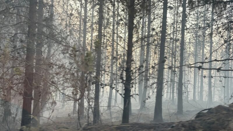 Colombia envía ayuda al incendio forestal más grande en Ecuador