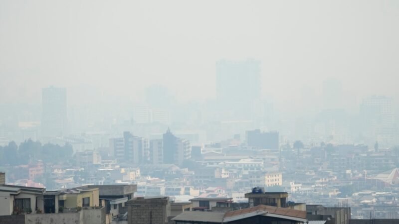 Los incendios forestales afectan la calidad del aire y obligan al uso de mascarillas en ciudad sureña