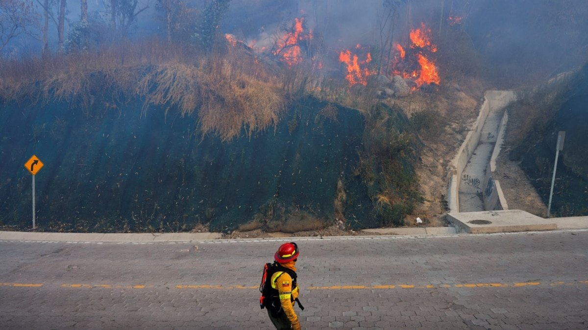 Evacuación masiva y suspensión de clases en Quito por incendios forestales