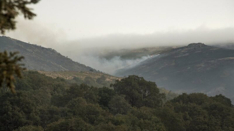 El incendio forestal de Entrimo arrasó 223 hectáreas antes de ser controlado.