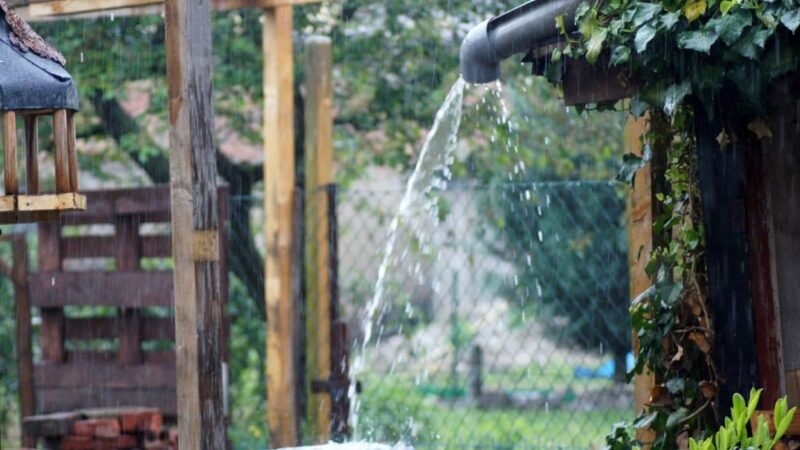 El riesgo de usar un recolector de agua de lluvia.