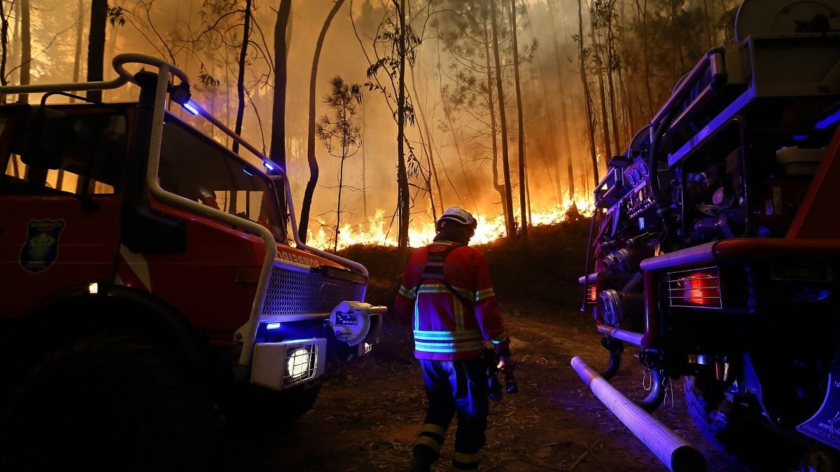 Incendios forestales en Portugal causan emisiones récord y envían humo a Francia y España