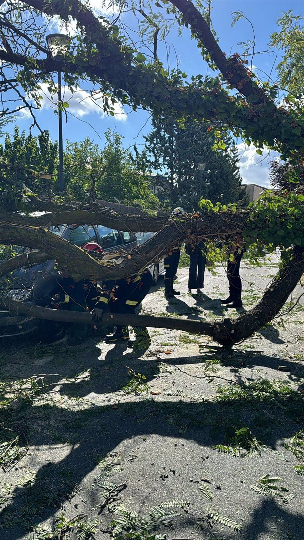 Intervenciones de los bomberos en la región debido a los fuertes vientos. Los bomberos han llevado a cabo un total de 61 intervenciones en la región a causa de los fuertes vientos.