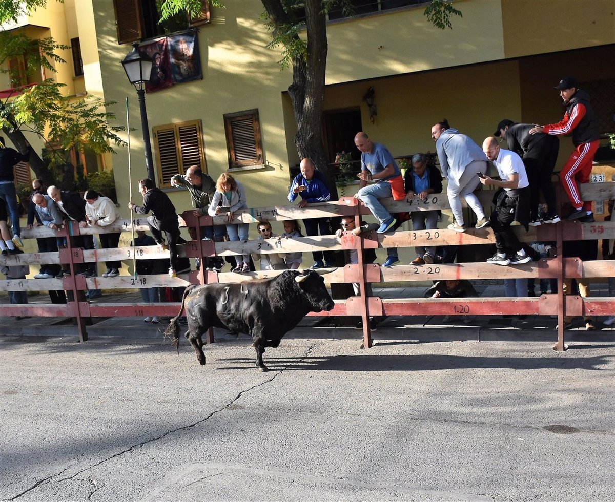 Muere hombre tras ser golpeado en corrida de toros en Villaviciosa