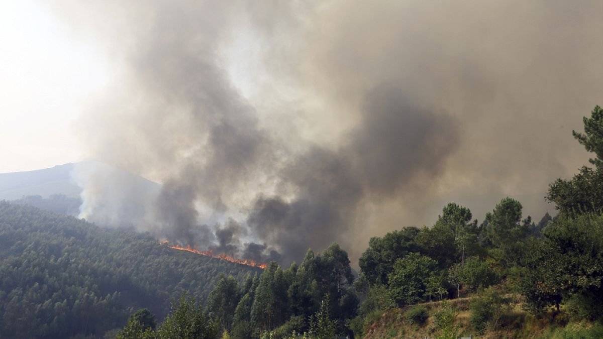 Protestas hoy en 12 localidades de Portugal por incendios.