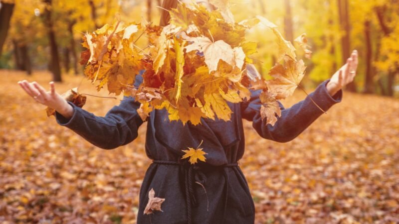 6 nutrientes esenciales para una vida sana en otoño y buena defensa