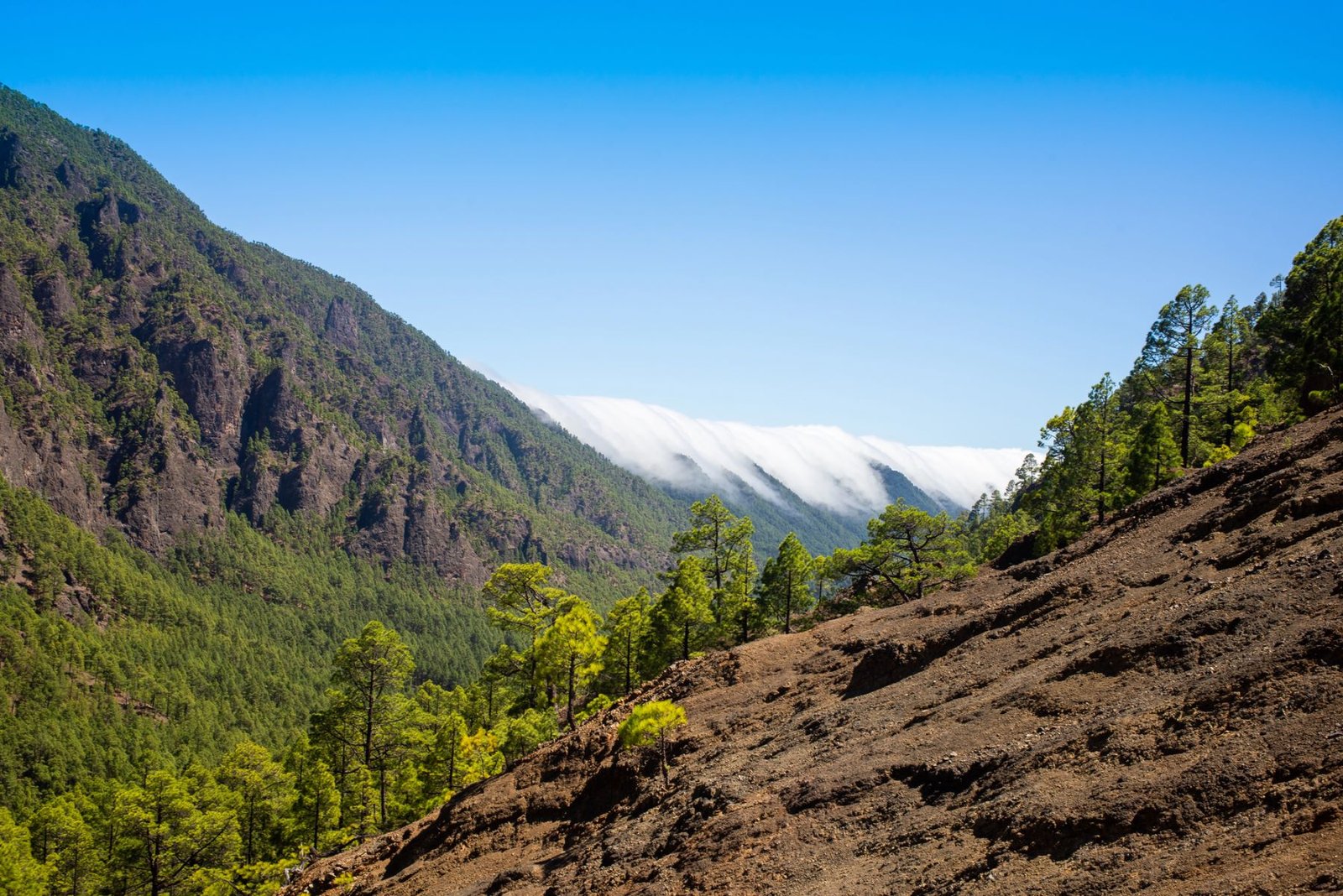 7 décadas del Parque Nacional La Caldera de Taburiente