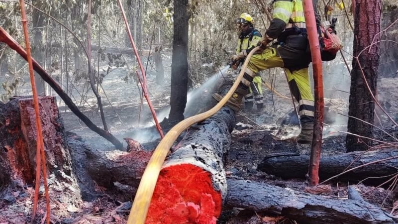 El Cabildo de Tenerife aprueba plan contra incendios con 1.000 militares.