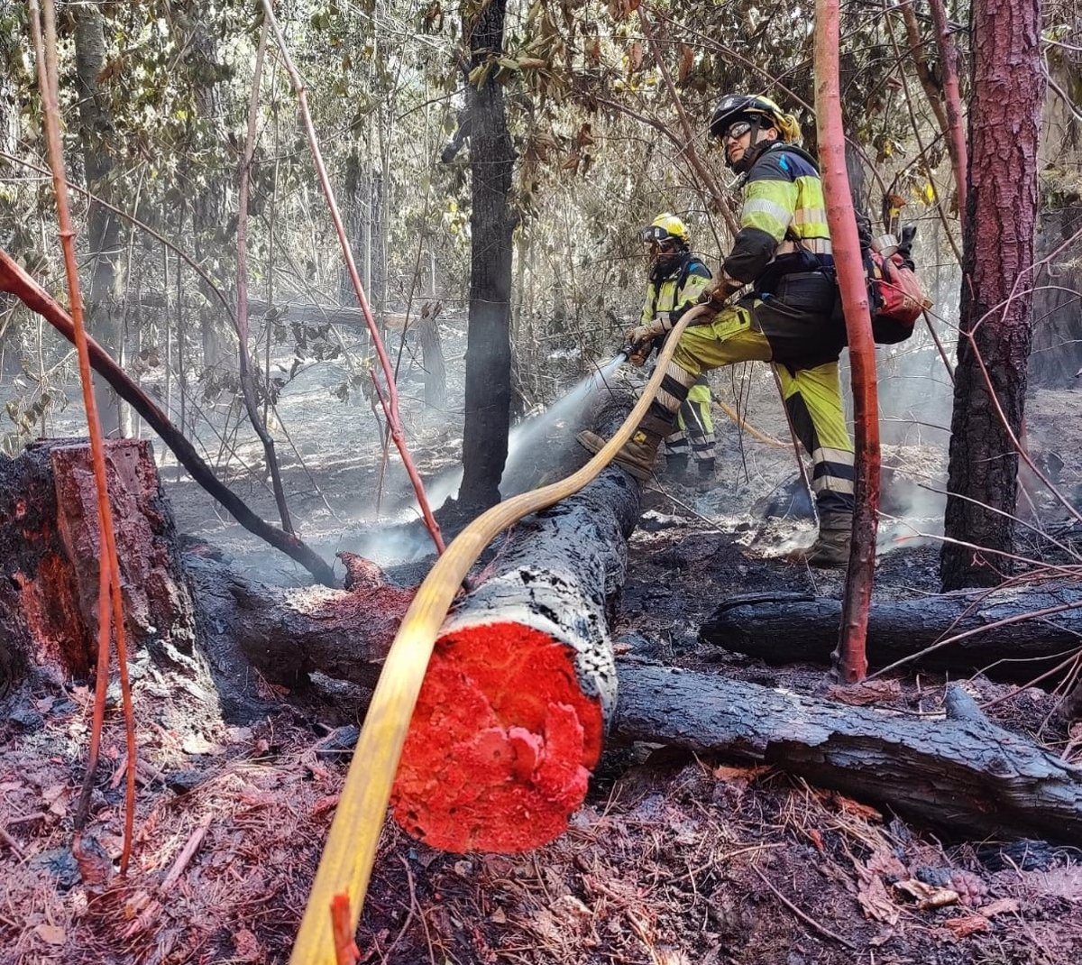 El Cabildo de Tenerife aprueba plan contra incendios con 1.000 militares.