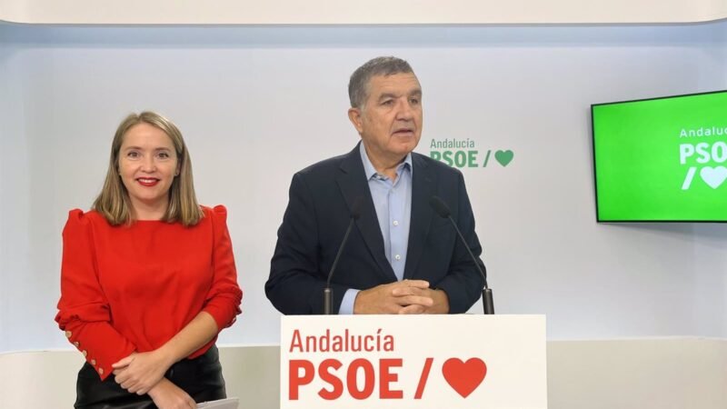 El PSOE-A desconfía del presupuesto del Consejo para 2025.