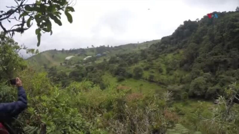 La Chorrera: la cascada más alta de Colombia.