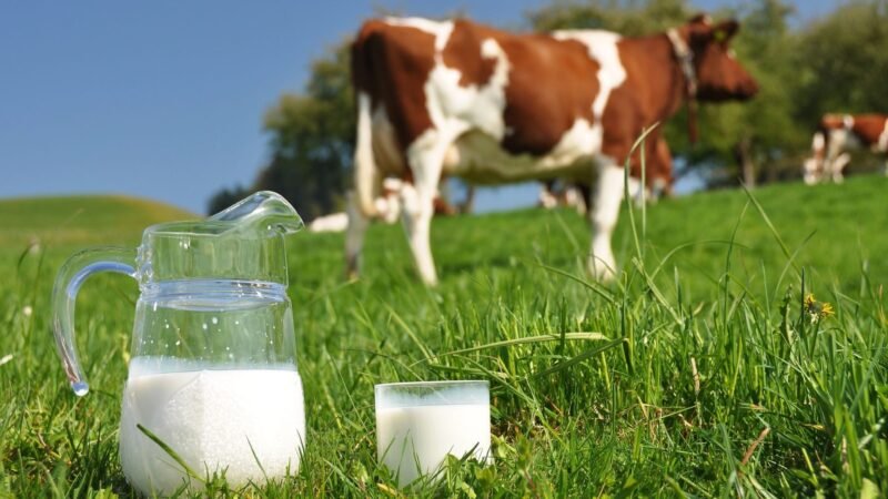 SmartZ4Milk mejora la sostenibilidad del sector lácteo en Galicia.