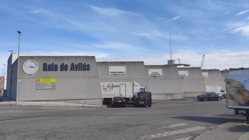 Subastados 8.000 kilos de atún en Rula de Avilés, los «últimos rabos de la costa»