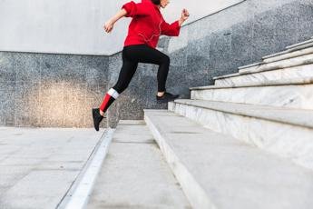 Subir escaleras por etapas es más beneficioso para la salud, afirma la ciencia.