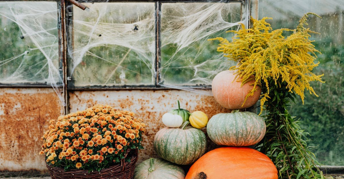 Verduras exóticas para agregar un toque especial a tu decoración de Halloween