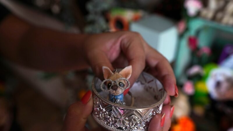 Honran a los animales en santuarios del Día de Muertos en México