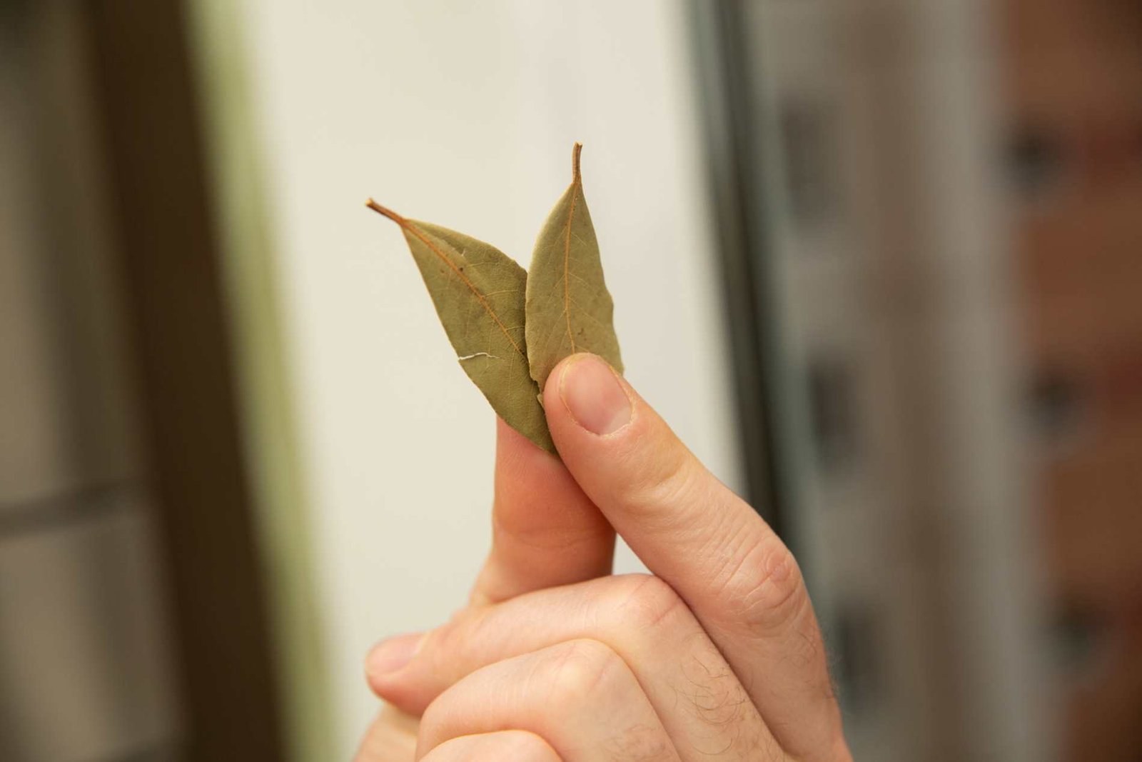 Hojas de laurel, tu aliado natural para limpiar.