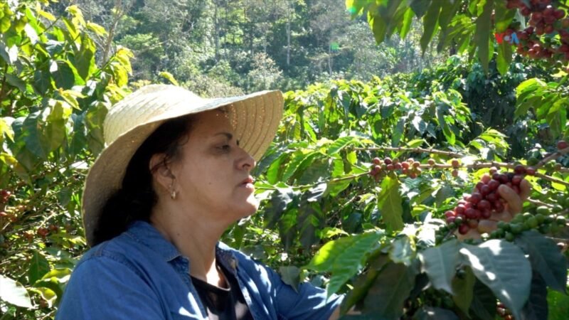 El café: impulso para la reconciliación y prosperidad en Colombia