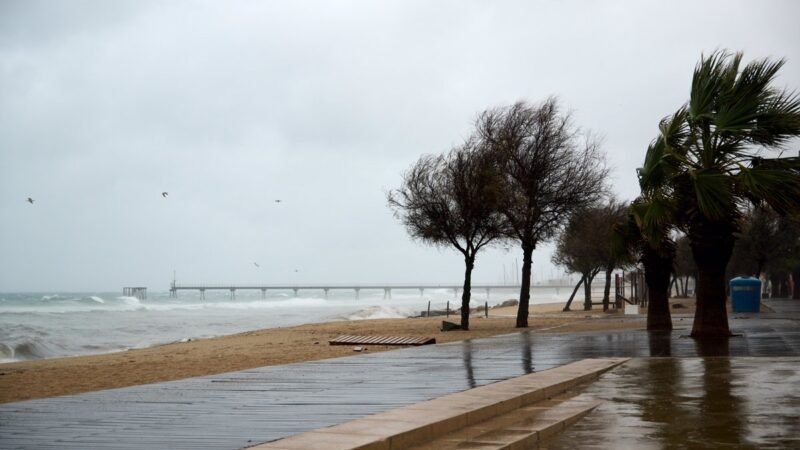 32 avisos de viento para los bomberos en Cataluña